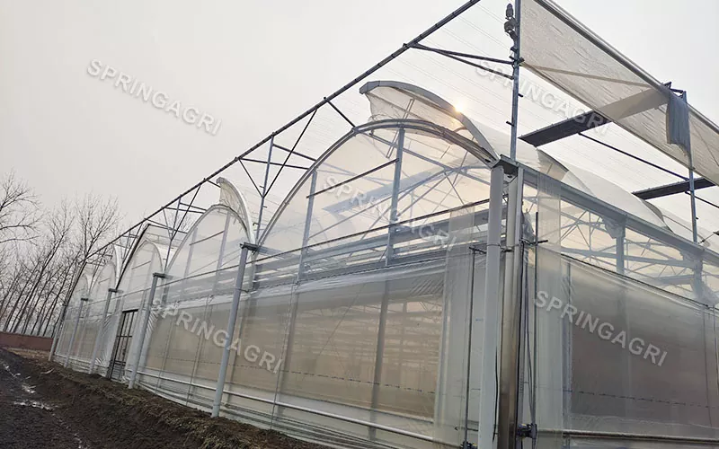 150 Micros PO Clear Film Drivhus