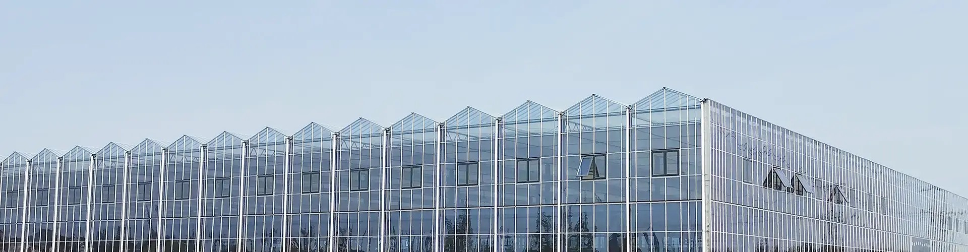 Drivhus i glass