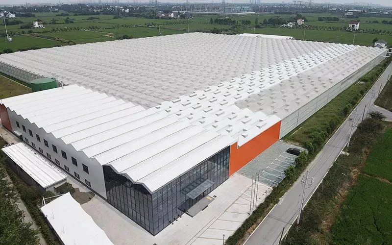 Fordeler med multispan glass drivhus