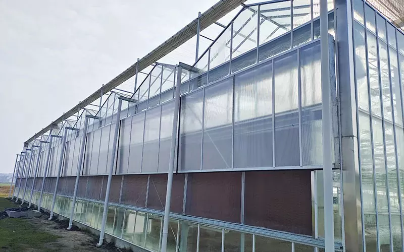 Multi-Span klart polykarbonat drivhus til salgs