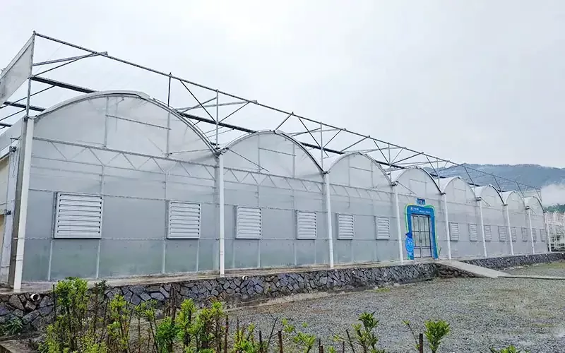 Multispan Plastic Film Drivhus