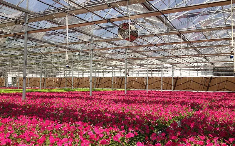 Herdet og flytende glassblomst drivhus