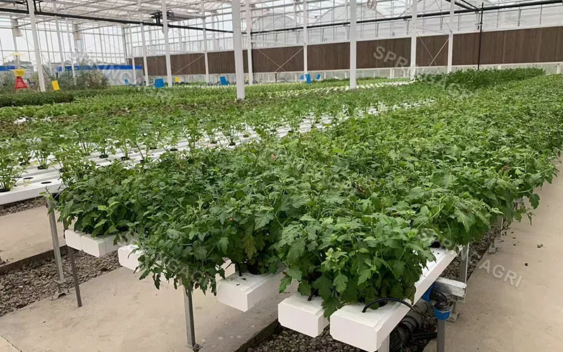 Vertikale NFT Farming Hydroponic Growing Systems